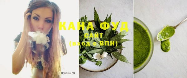 тгк Инсар
