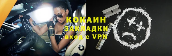 тгк Инсар