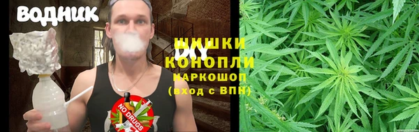 тгк Инсар